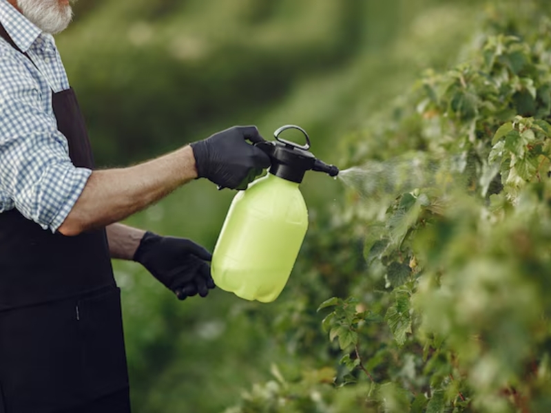 Bio pesticides